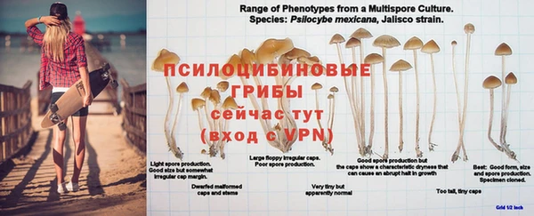 мефедрон мука Богданович